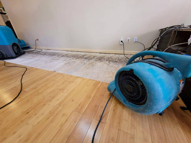 Professional Structural Drying technician working in Tilden, IL